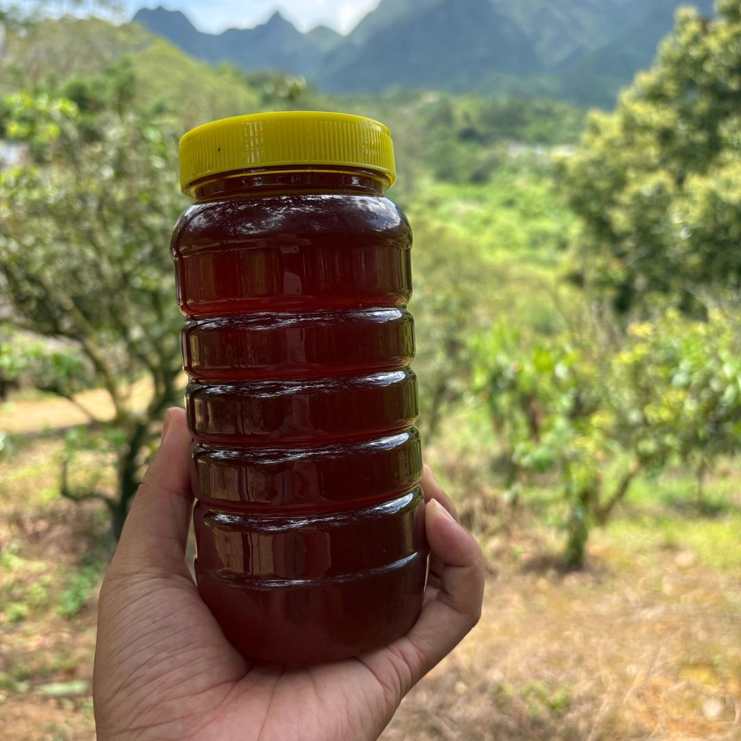 广西农家土蜂蜜