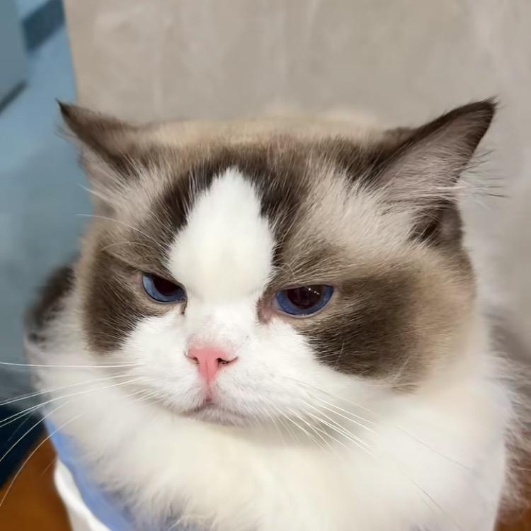 品质穿搭