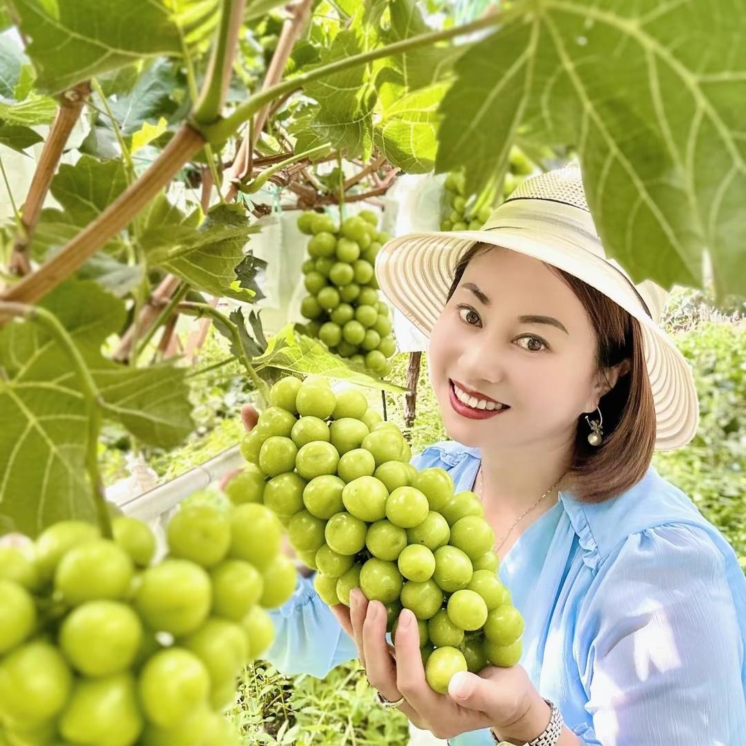 🍀明镜🍀（水果西施）