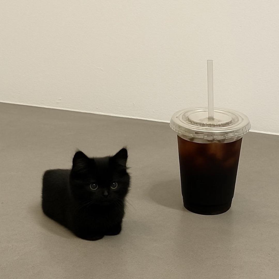 Kimi