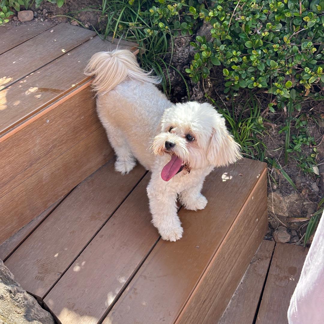 叙美雅总部14店小玲