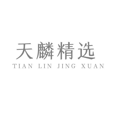 天麟精选