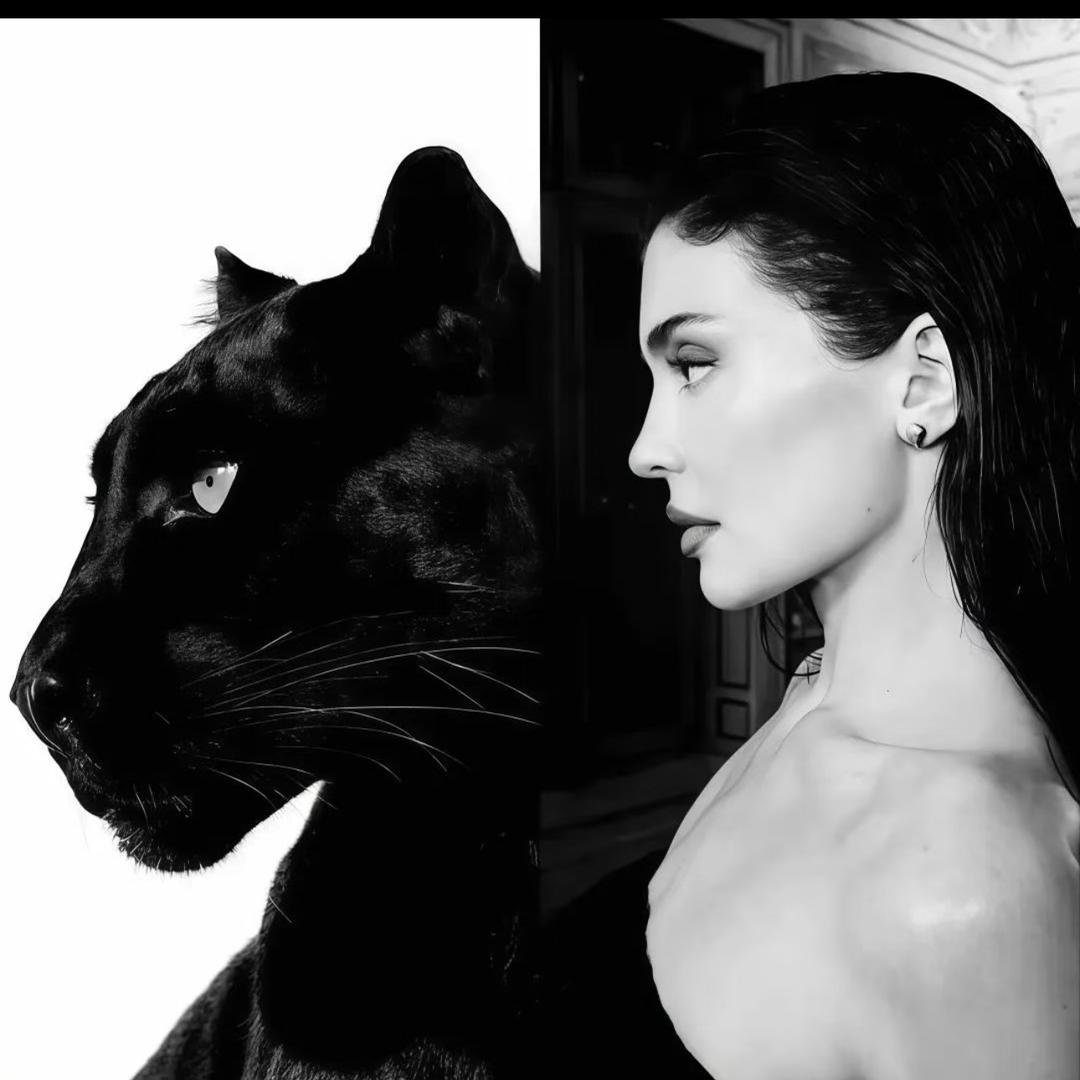 𝐅𝐢𝐥𝐨𝐫𝐚_