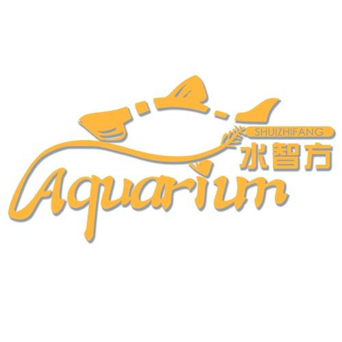 水智方水族旗舰店文艺馆