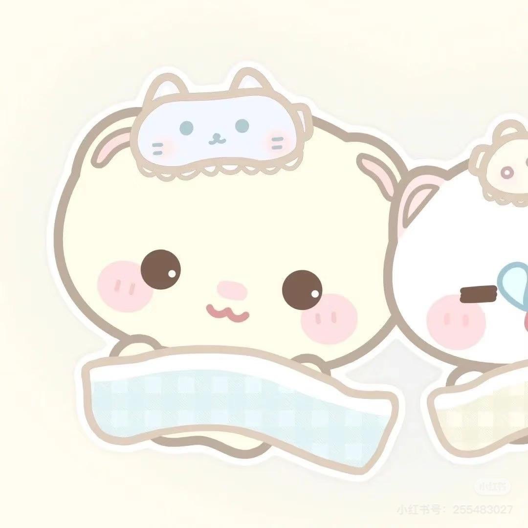 小Jin