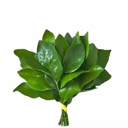 X-