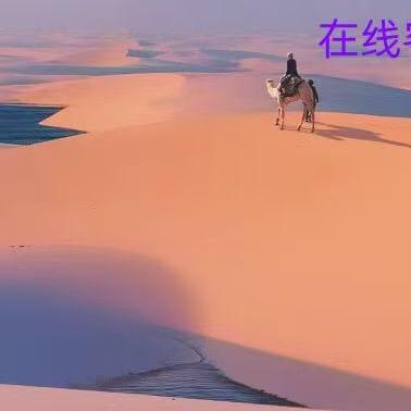 小张聊