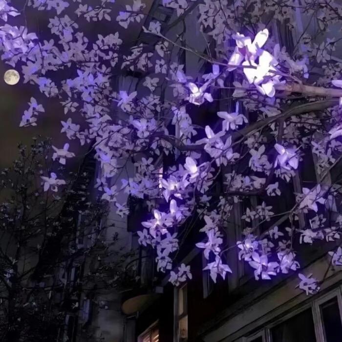 小T吃饭没