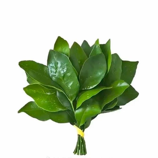 ꧁ℳঞ ໌້ᮨ自成一派꧔ꦿ᭄