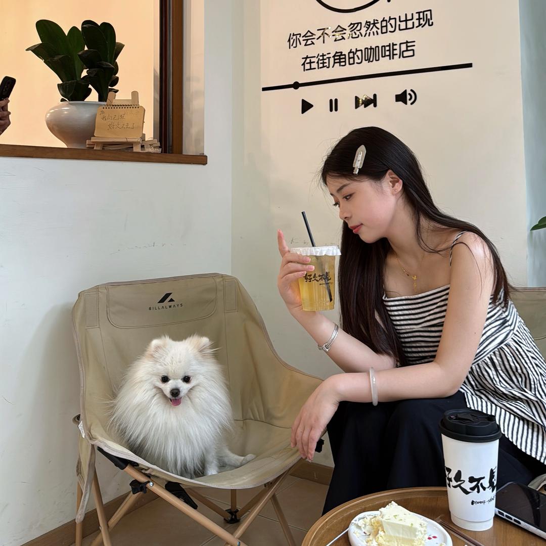 暴躁小刘.
