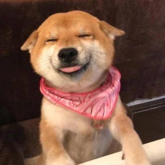 扬州昆图斯（攒钱买突破版）