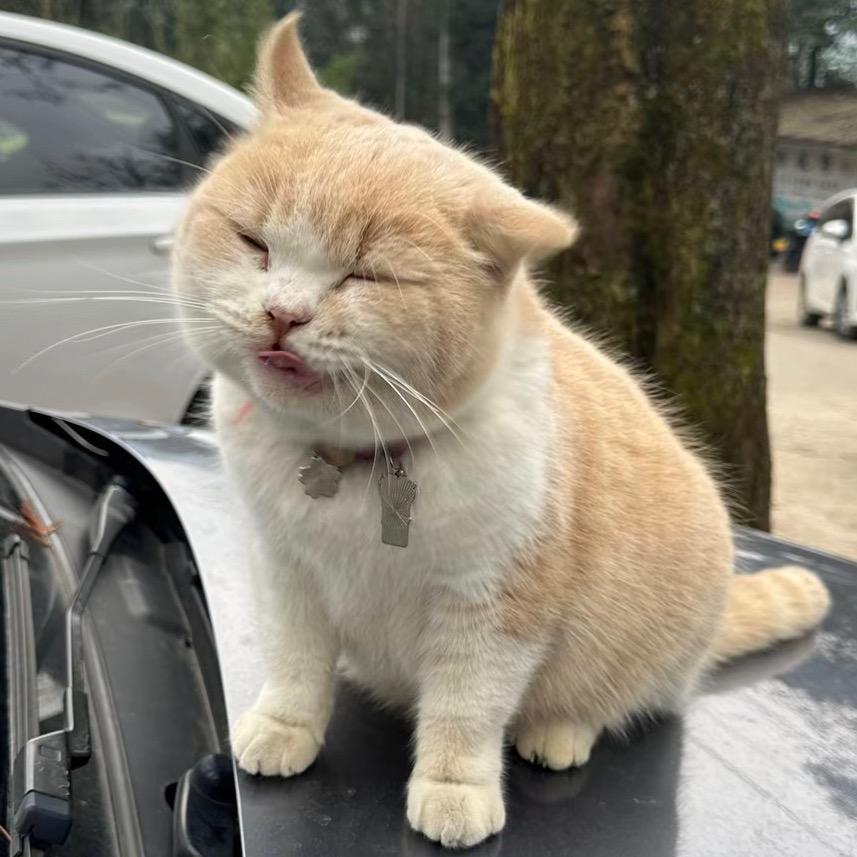 别理😇