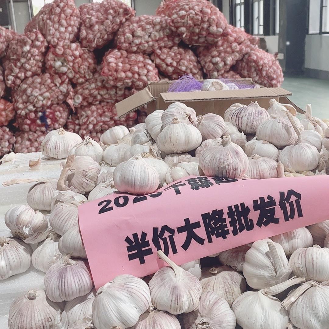 济任新方向生活好物精选