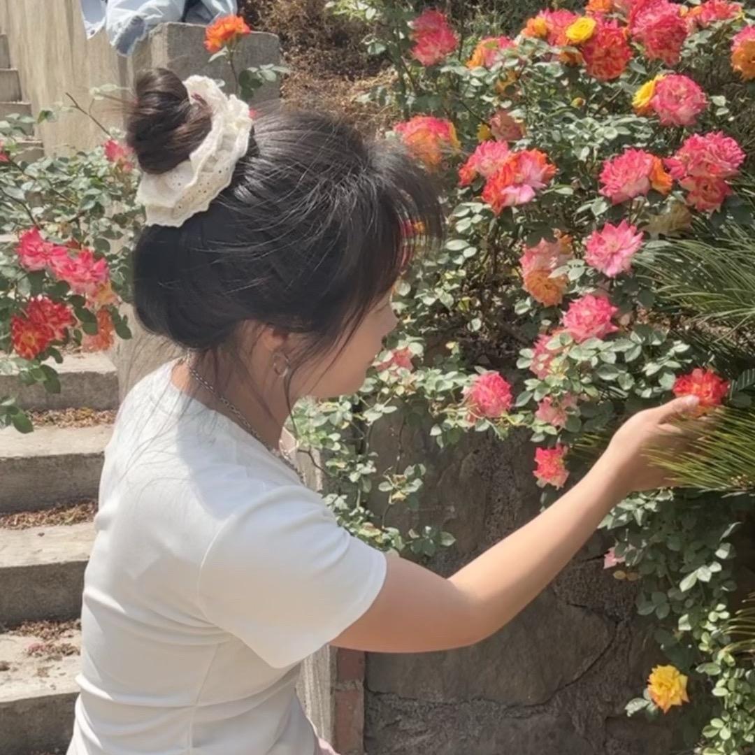 钞票很多张