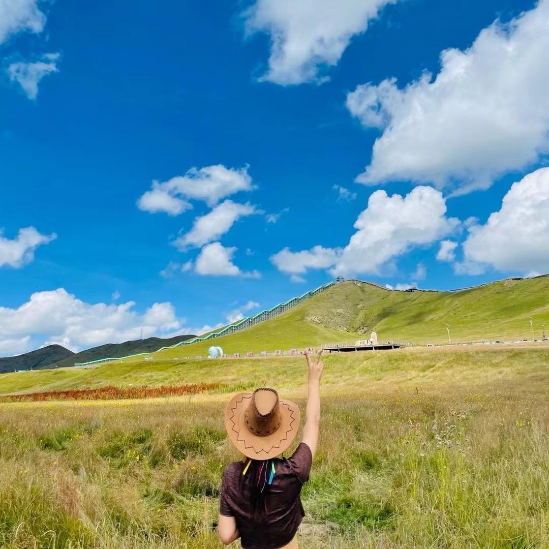 生产型老板AI军师，小齐