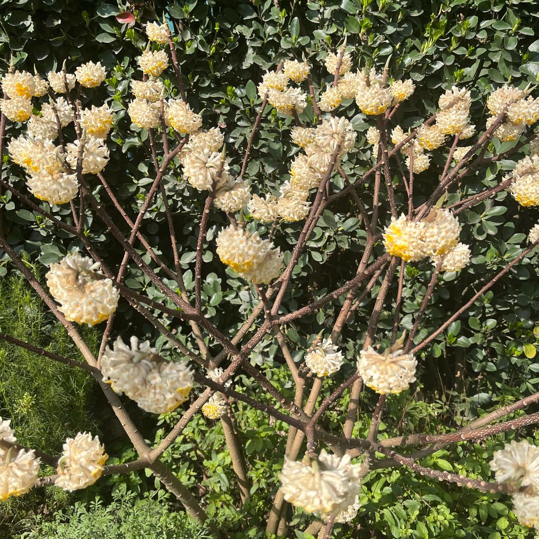 王钢结构