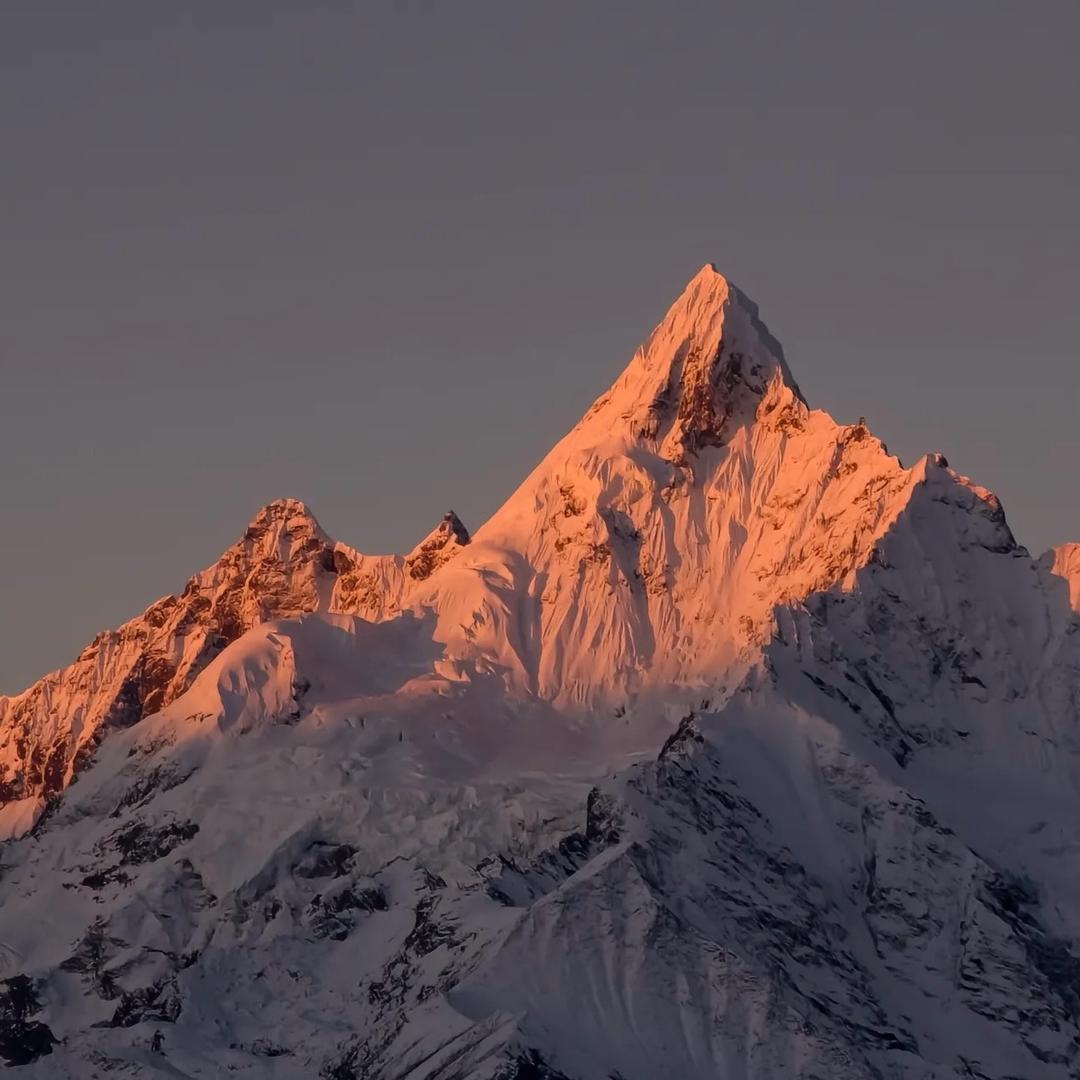 睿智（未来可期版）