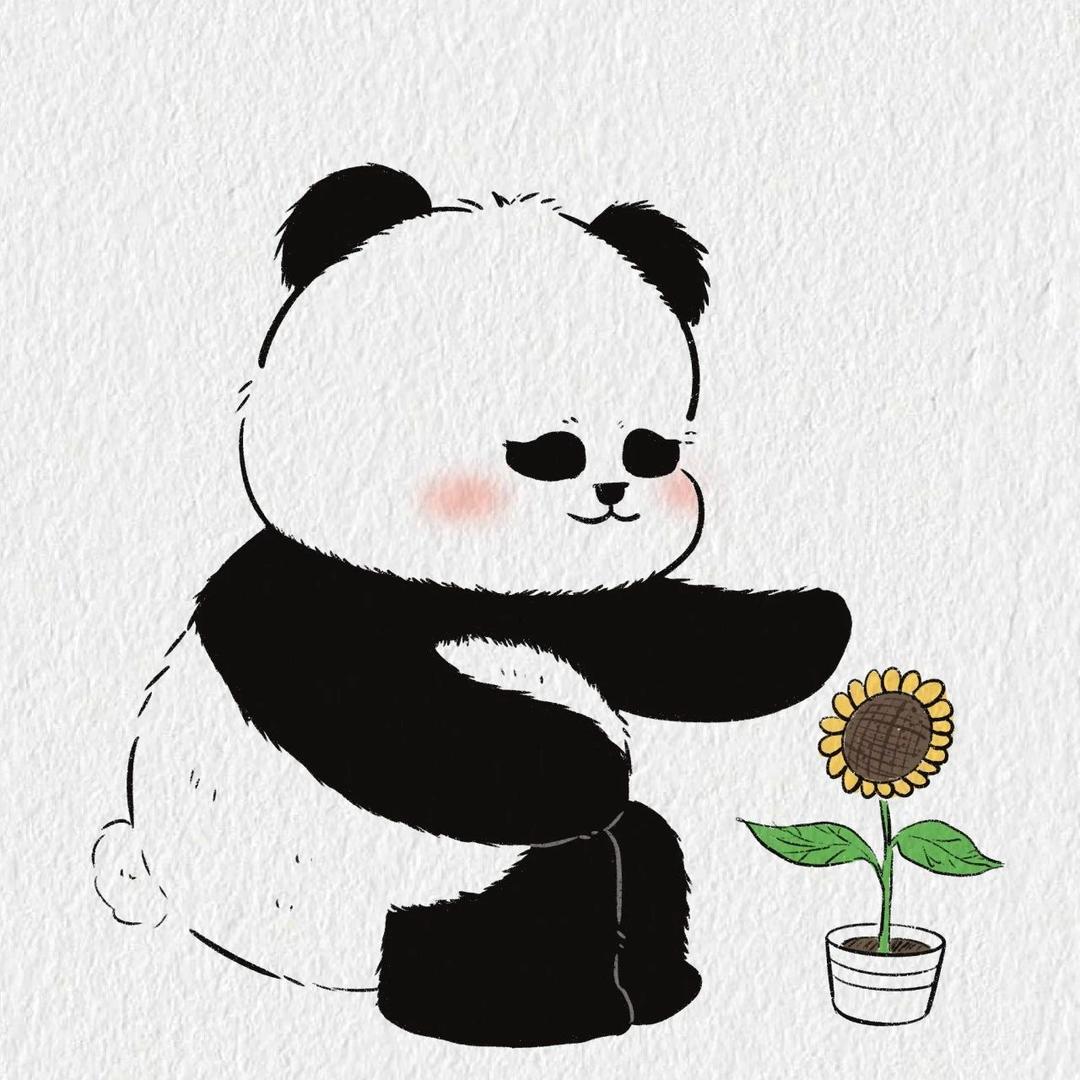 一只小老虎🐯
