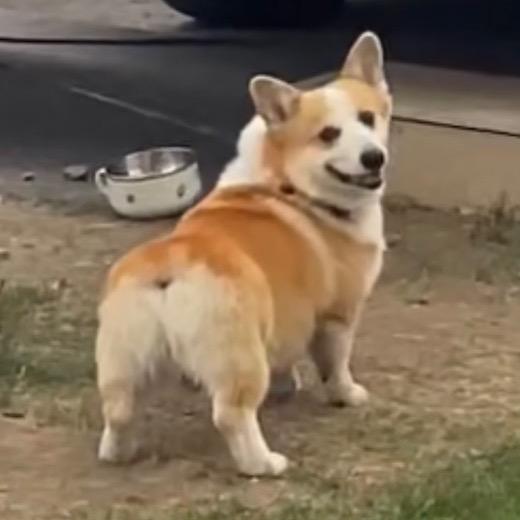 陈翰文