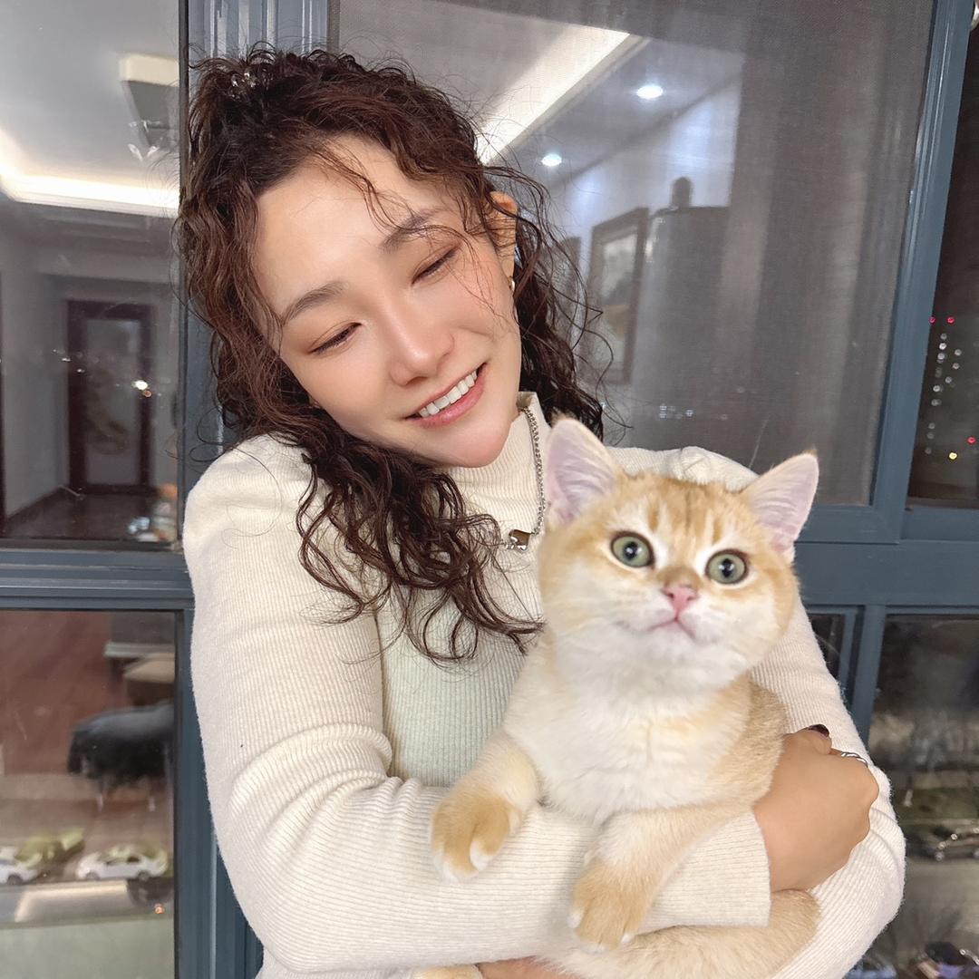 猫猫🐱