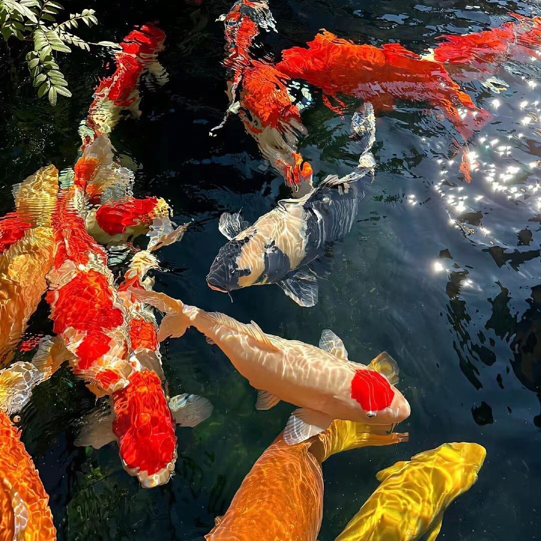 香香公主👸🏻的朋友圈