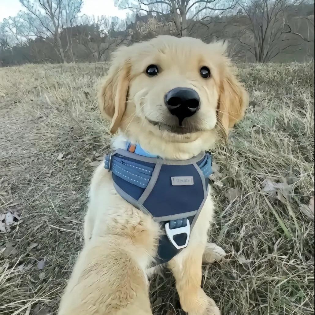 阿泽（三角洲行动）