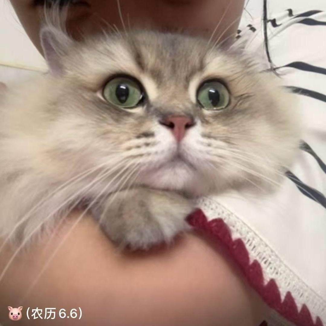 水果妹