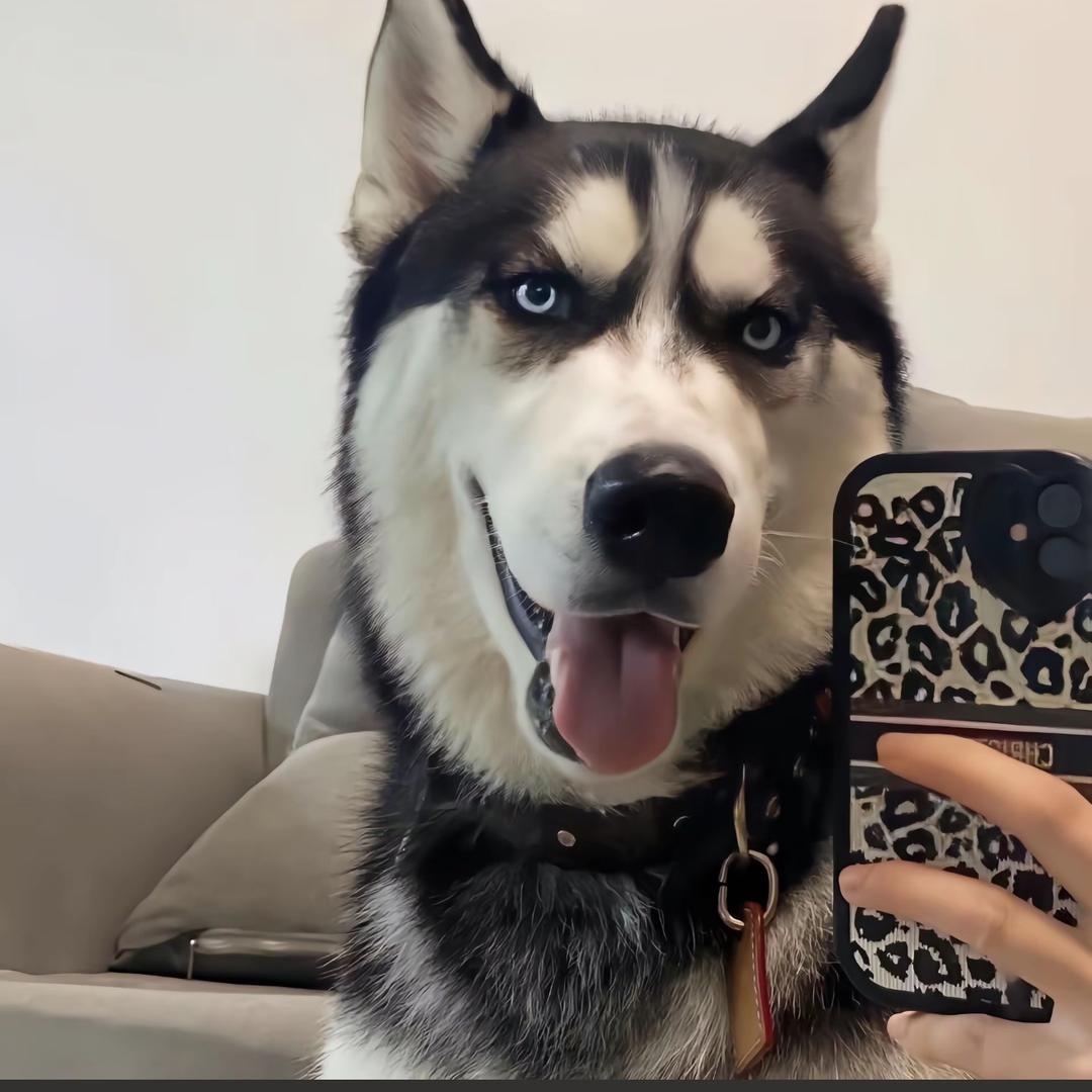 活在大山里的孩子