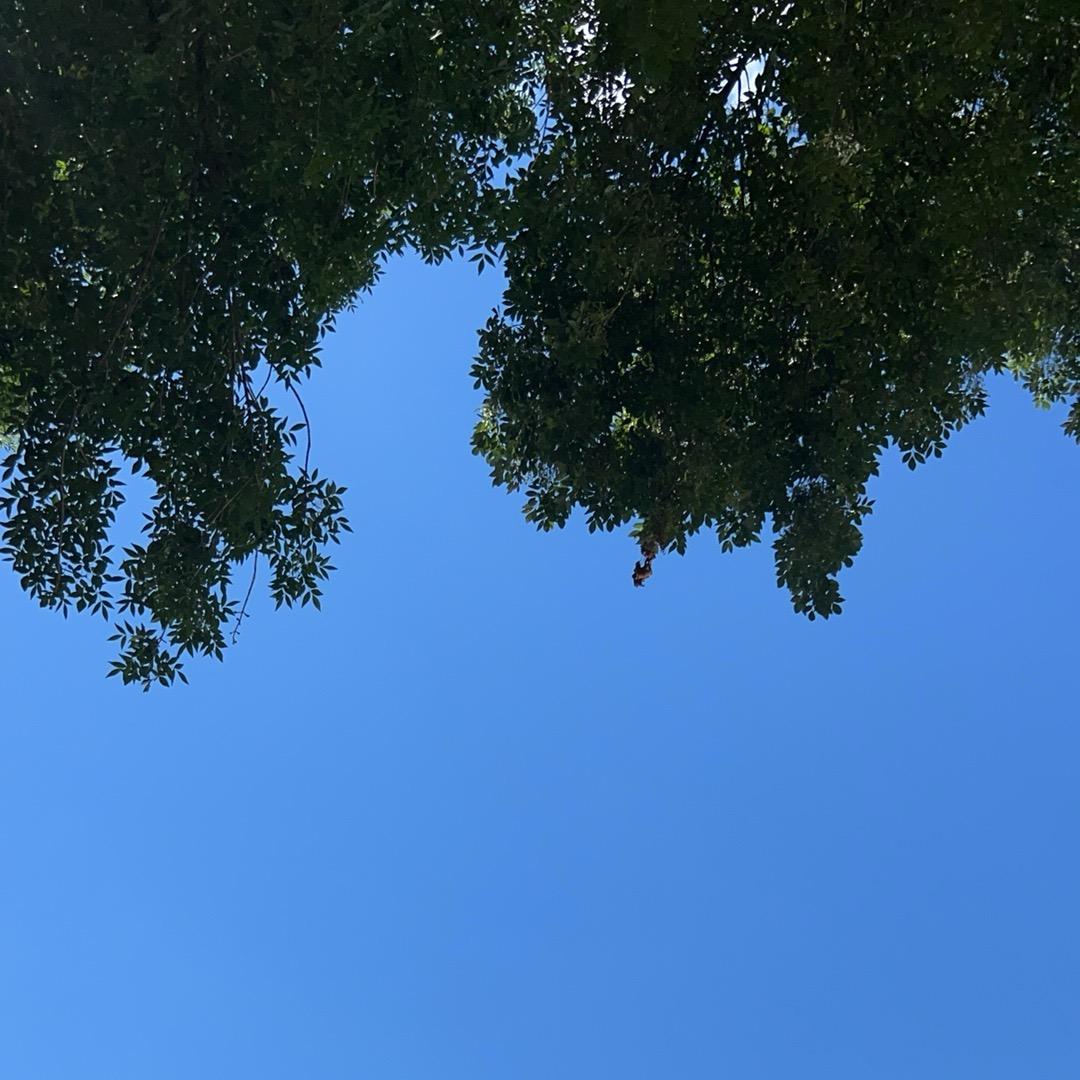 物理老师