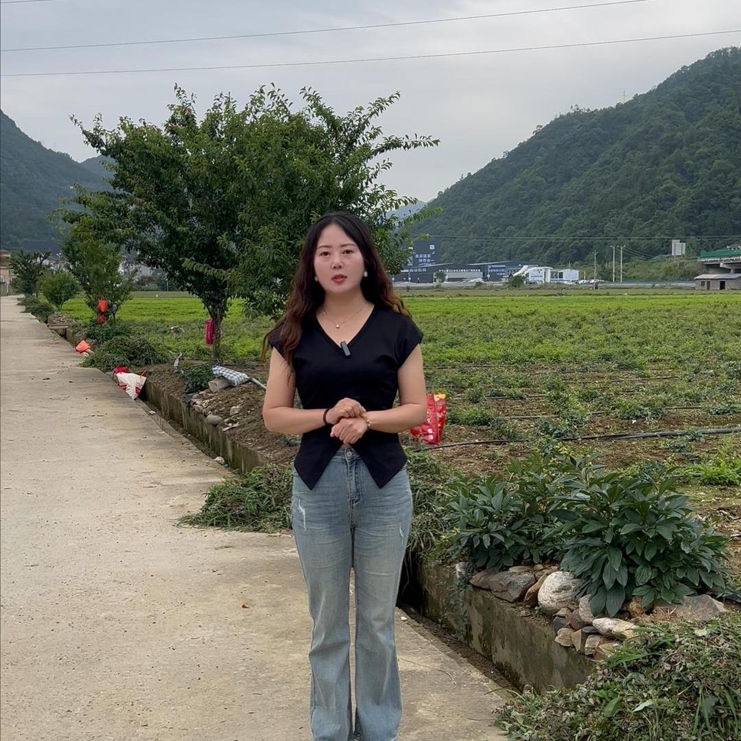 巢妙元益之麻商贸