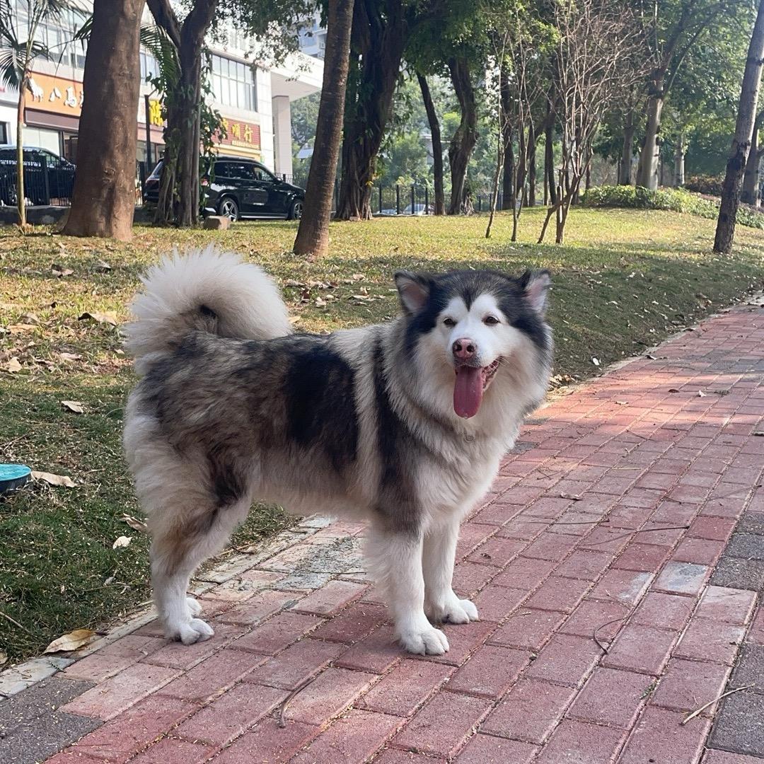 ㅤㅤㅤㅤㅤㅤㅤ ㅤㅤㅤㅤㅤㅤㅤㅤ