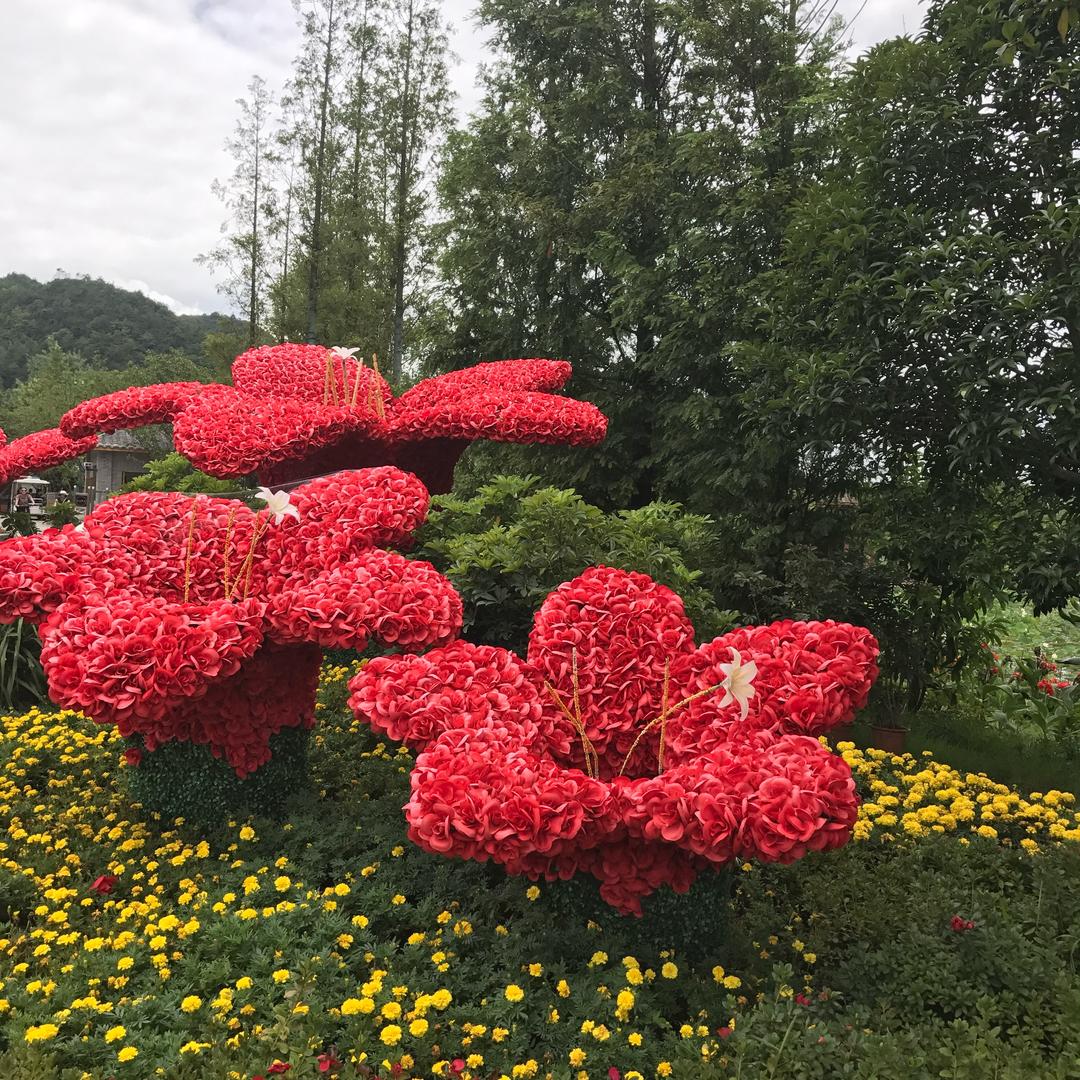 江玉琴