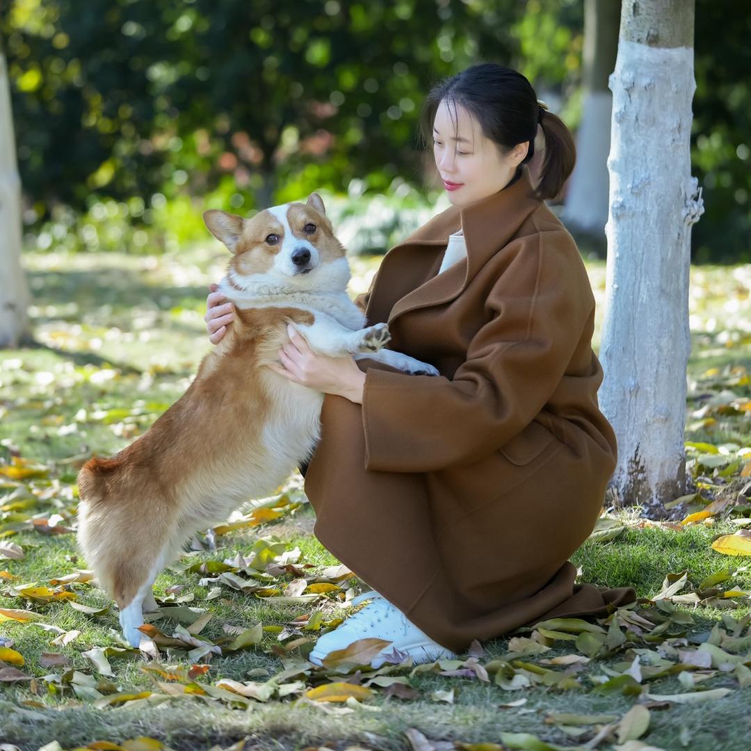 花脸猫鼻子