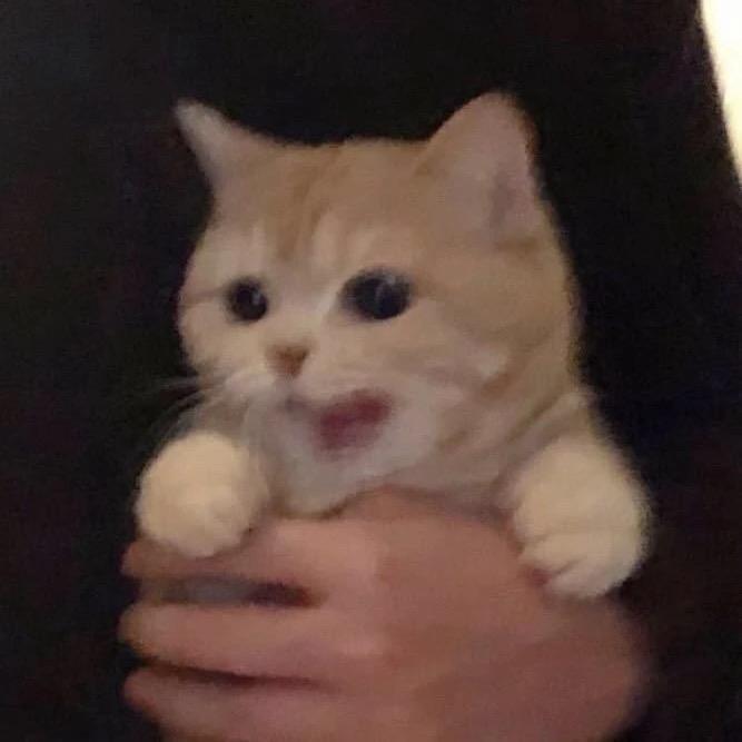 uu