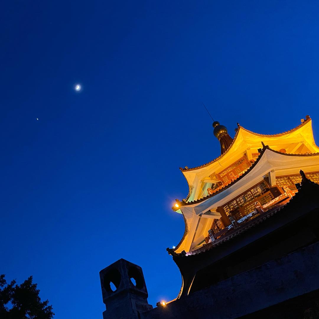文  东