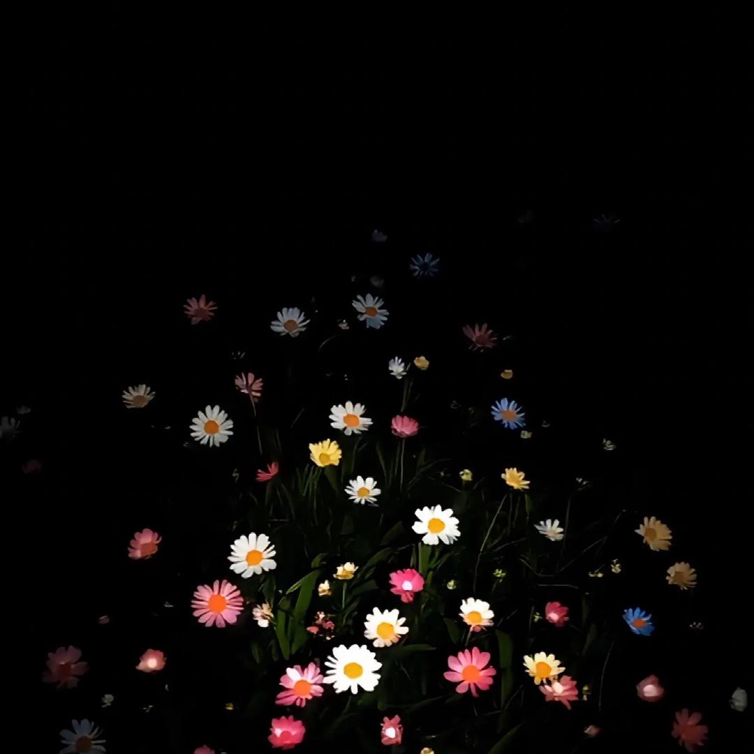 椰
