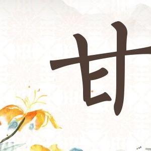 阳光洒满心脏