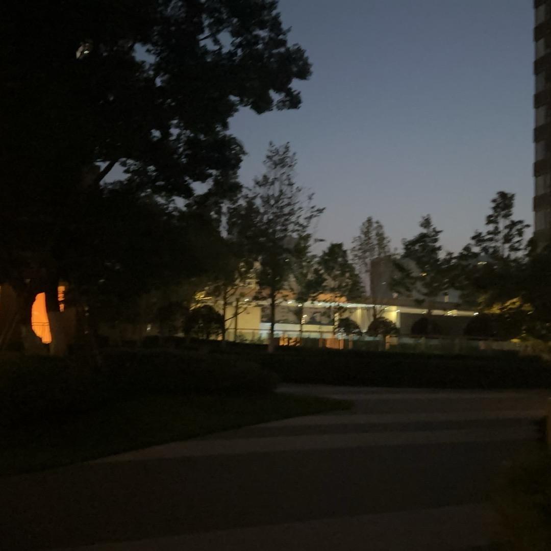 钟意
