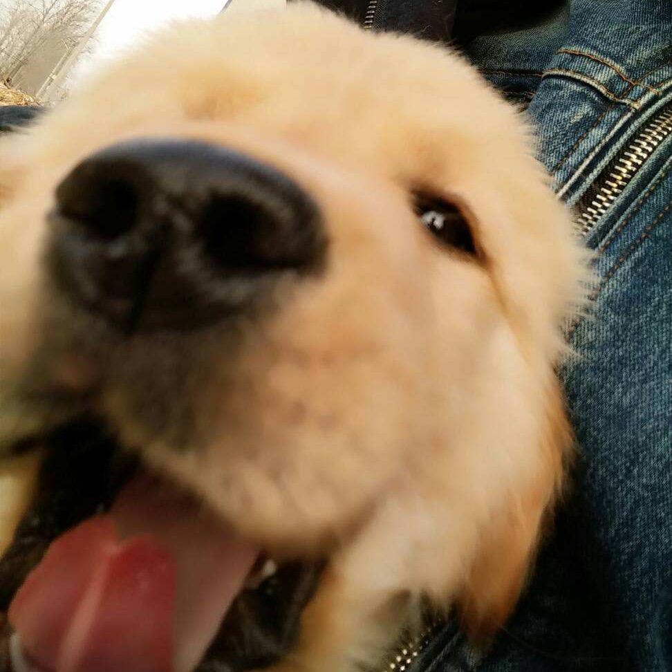 落尘owo