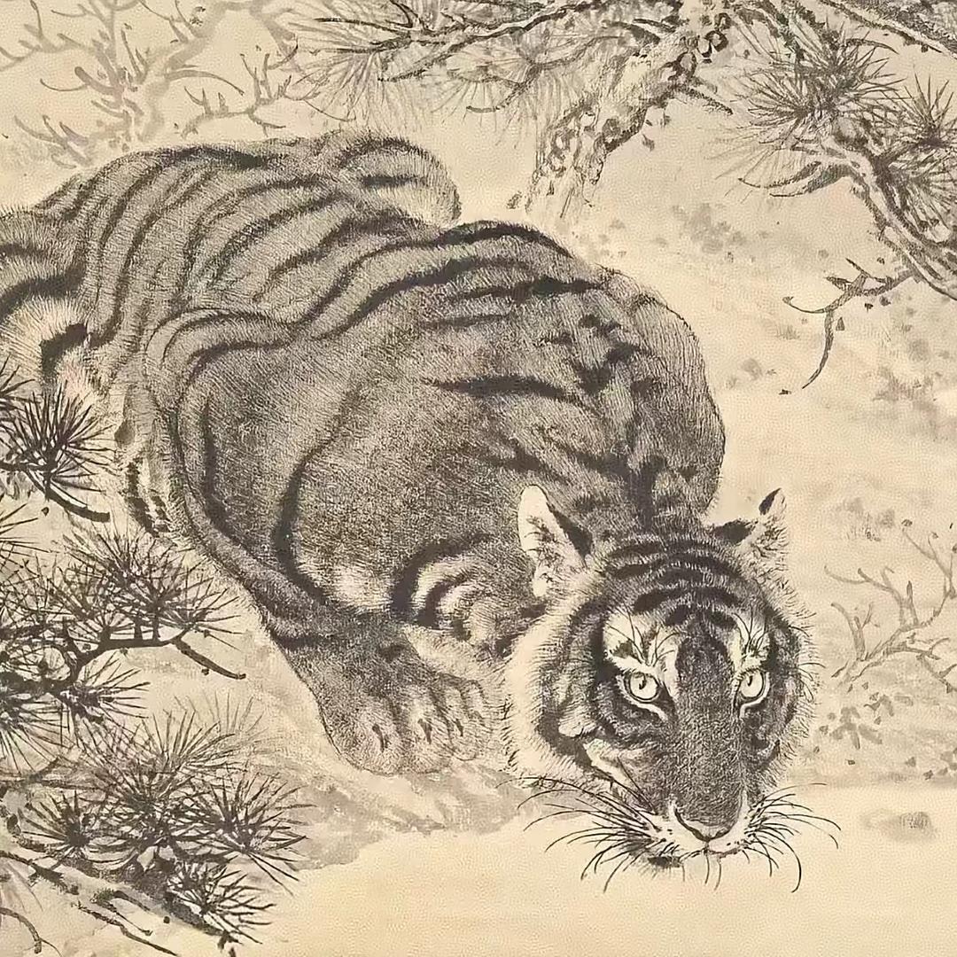 舍得