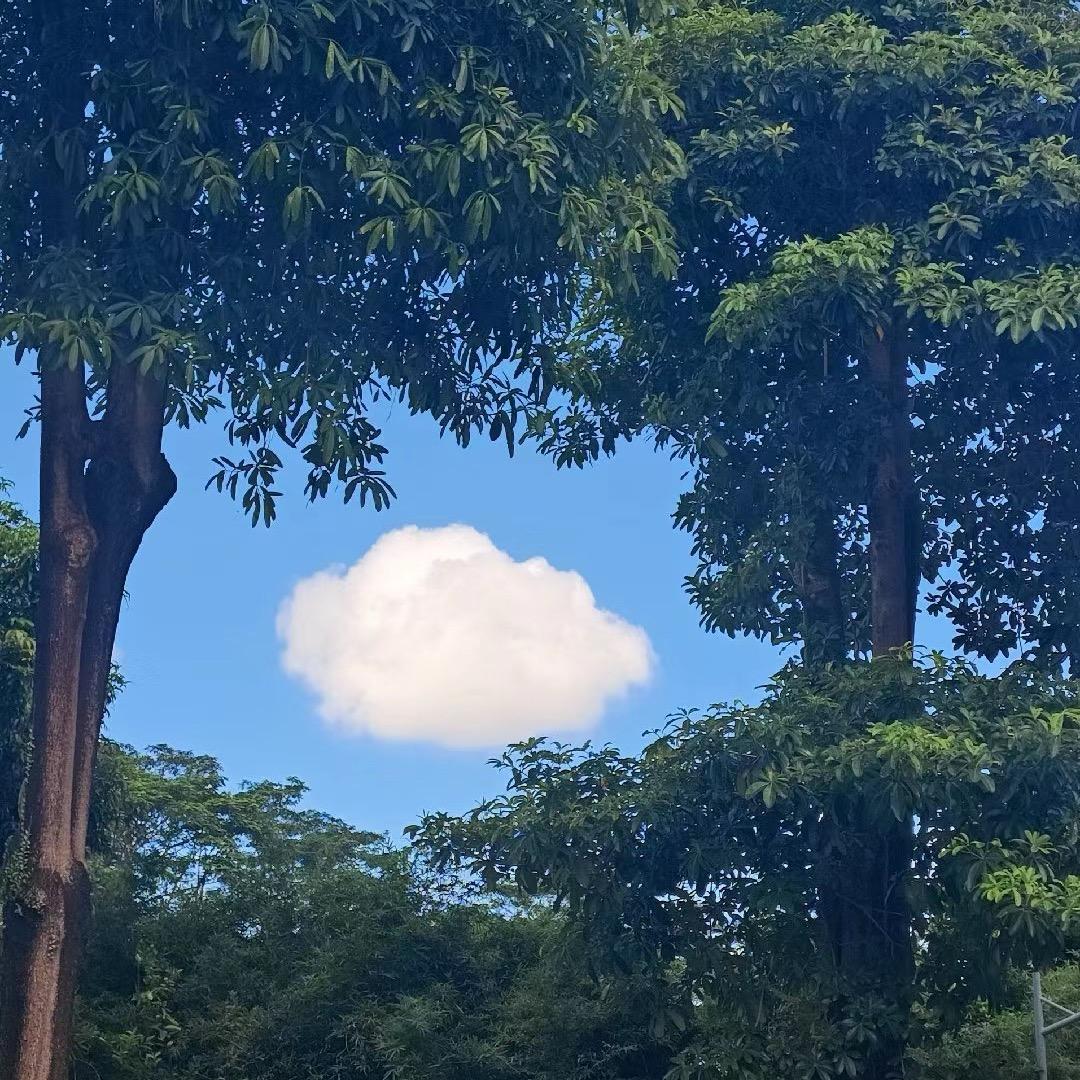 🦒秋野