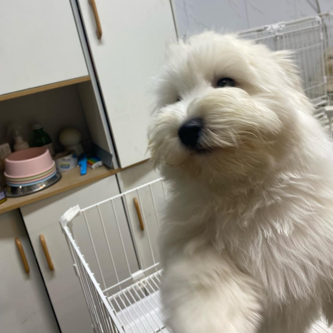 十万