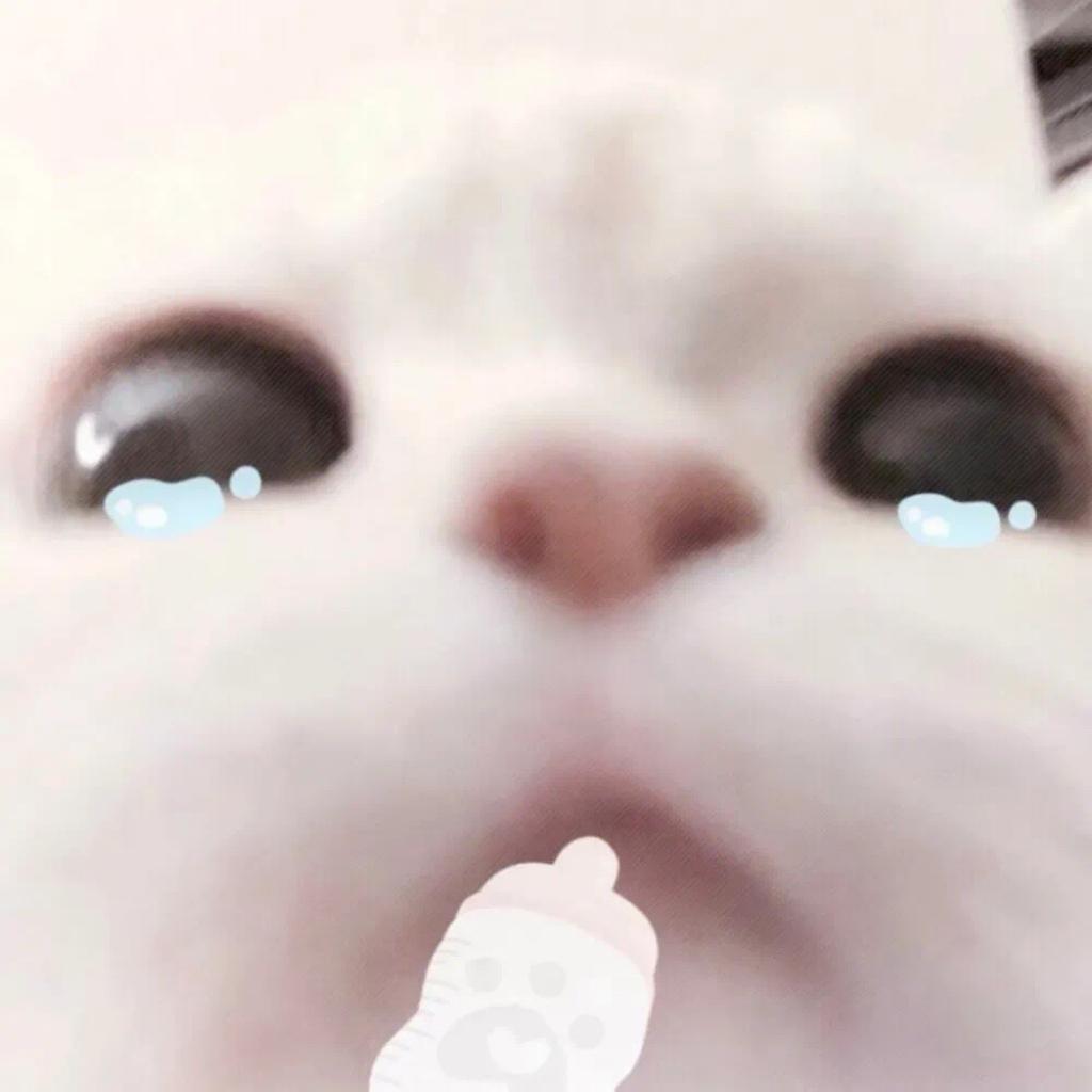偷偷看。