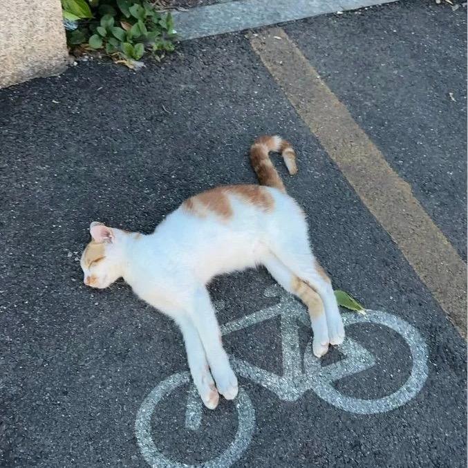 碳烤八爪鱼