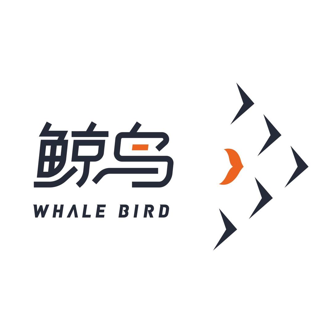 鲸鸟集运