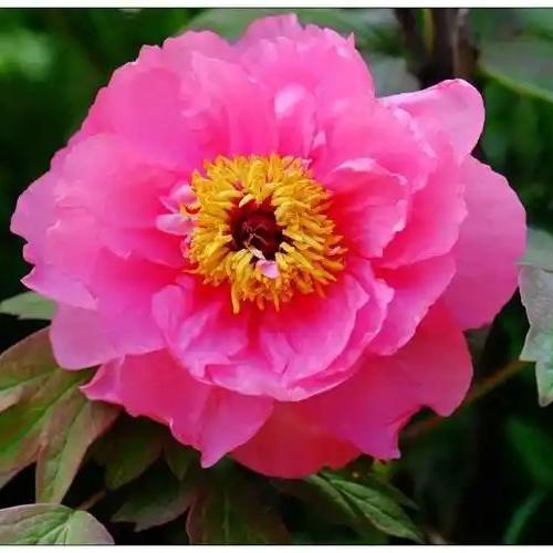 重庆福柏立物业臻选阁