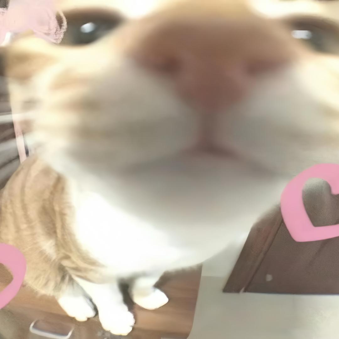 晚点拯救世界（等林俊杰版）