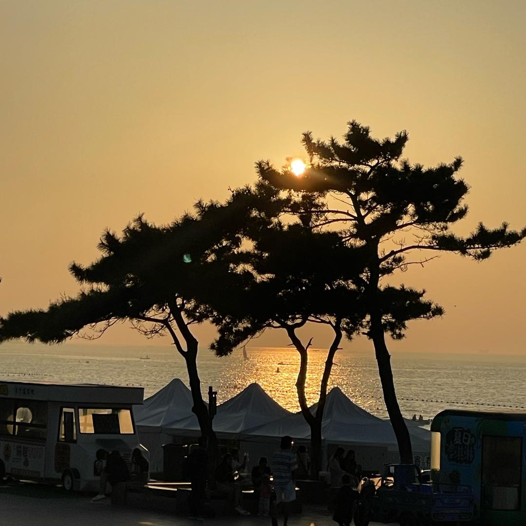 大川、LZC