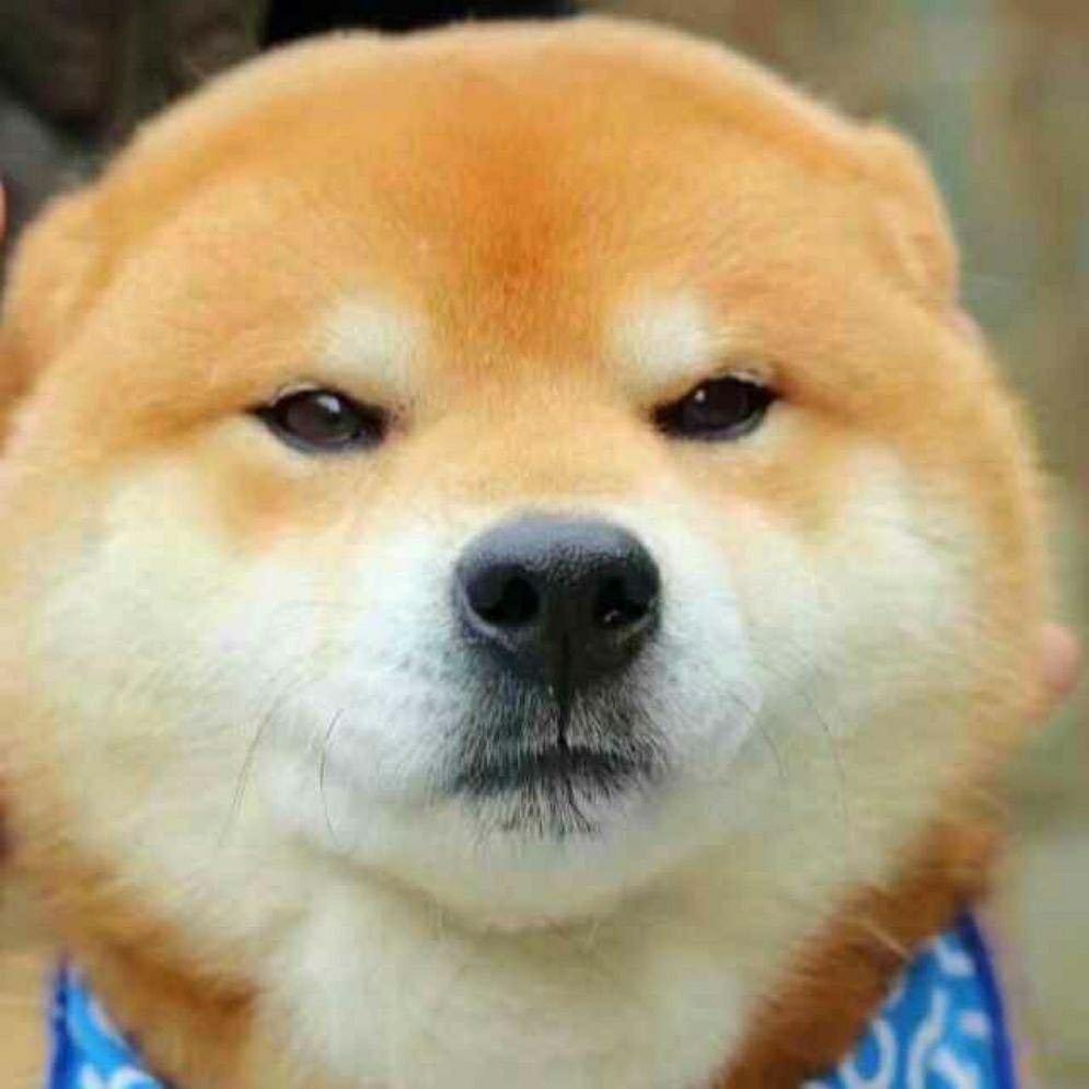 霍格沃茨招生部