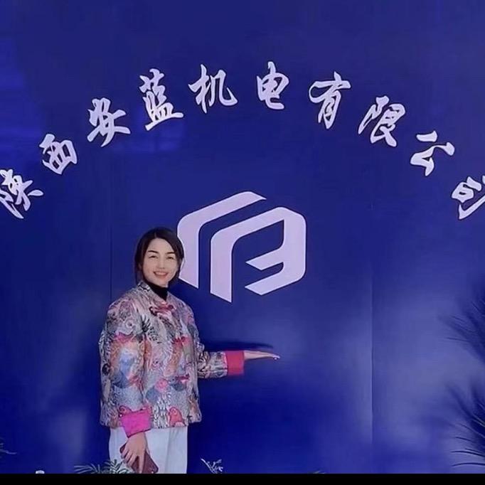 西安电机维修厂（安蓝公司）